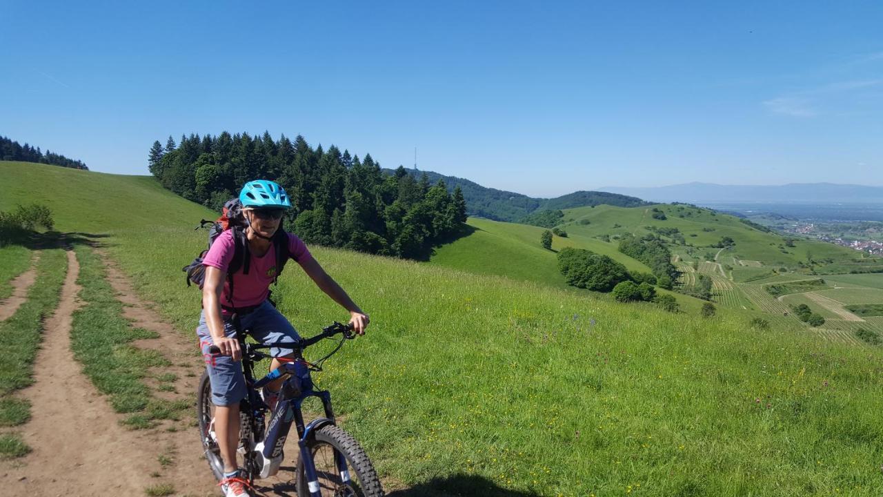 Gaestehaus Casa Luna - Paradiesische Ferienwohnungen Am Kaiserstuhl! Bischoffingen Εξωτερικό φωτογραφία