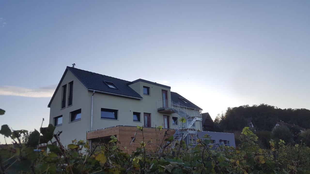 Gaestehaus Casa Luna - Paradiesische Ferienwohnungen Am Kaiserstuhl! Bischoffingen Εξωτερικό φωτογραφία