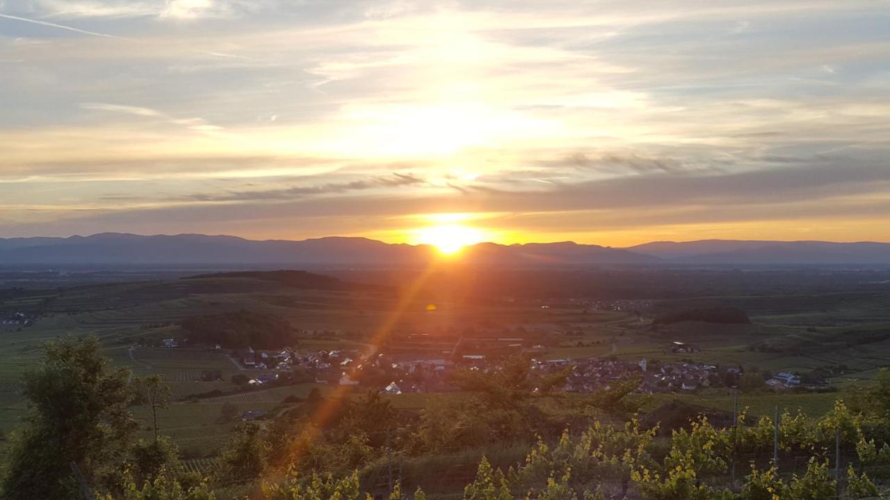 Gaestehaus Casa Luna - Paradiesische Ferienwohnungen Am Kaiserstuhl! Bischoffingen Εξωτερικό φωτογραφία