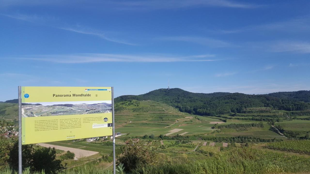 Gaestehaus Casa Luna - Paradiesische Ferienwohnungen Am Kaiserstuhl! Bischoffingen Εξωτερικό φωτογραφία