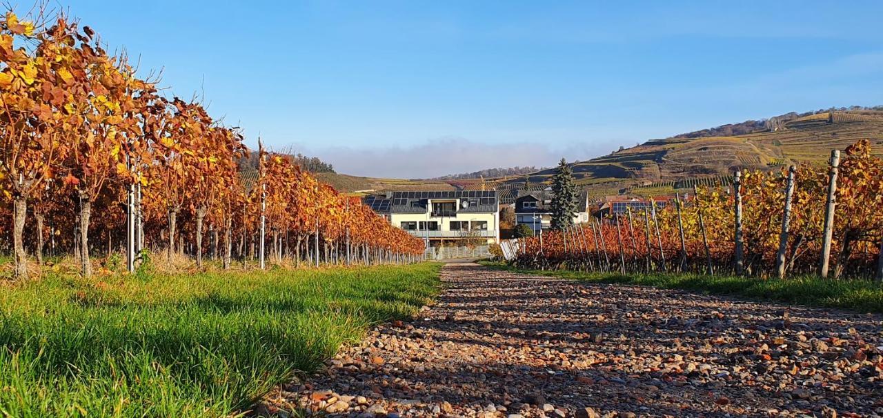 Gaestehaus Casa Luna - Paradiesische Ferienwohnungen Am Kaiserstuhl! Bischoffingen Εξωτερικό φωτογραφία