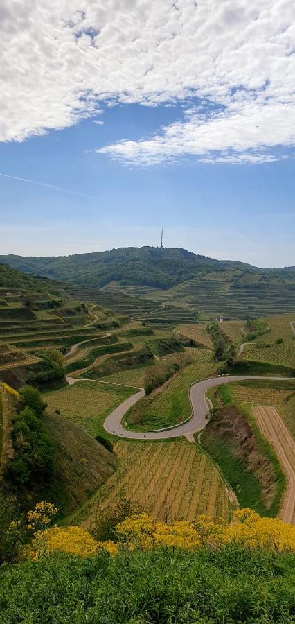 Gaestehaus Casa Luna - Paradiesische Ferienwohnungen Am Kaiserstuhl! Bischoffingen Εξωτερικό φωτογραφία