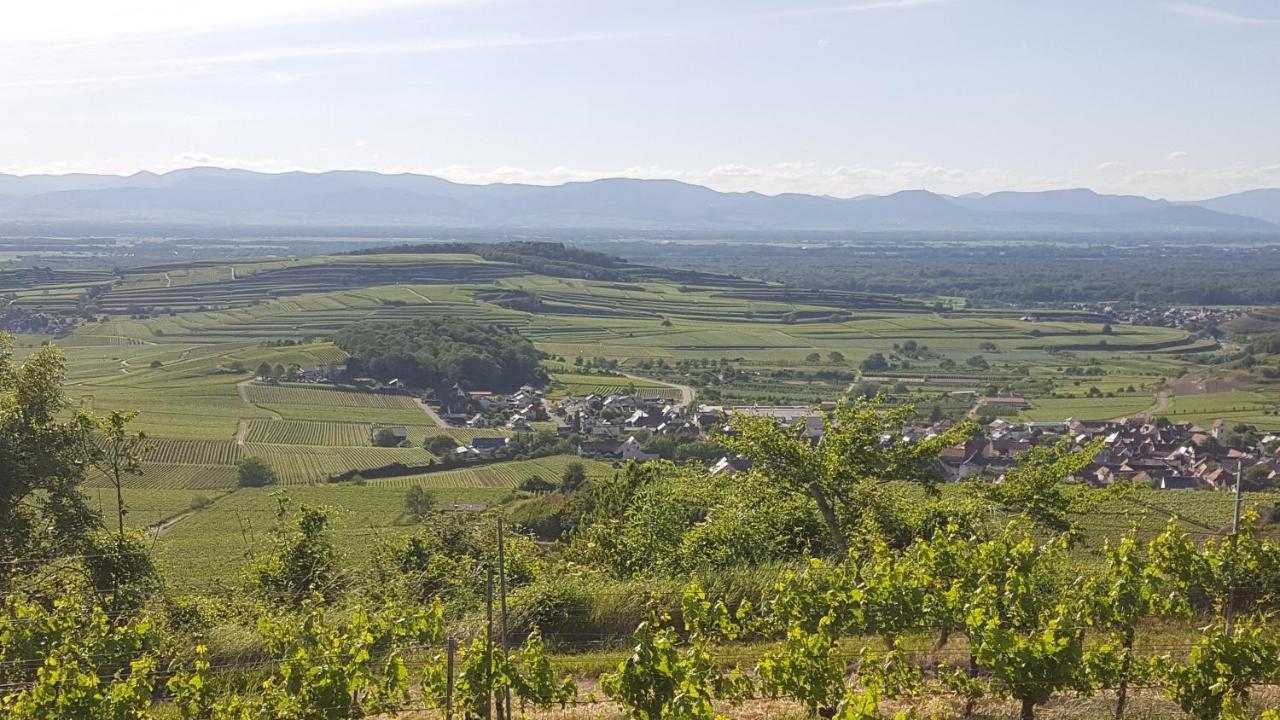 Gaestehaus Casa Luna - Paradiesische Ferienwohnungen Am Kaiserstuhl! Bischoffingen Εξωτερικό φωτογραφία