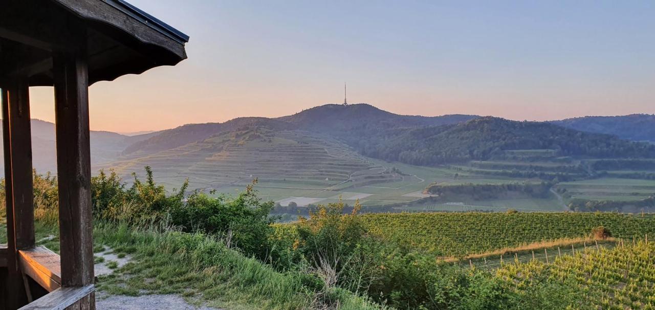Gaestehaus Casa Luna - Paradiesische Ferienwohnungen Am Kaiserstuhl! Bischoffingen Εξωτερικό φωτογραφία
